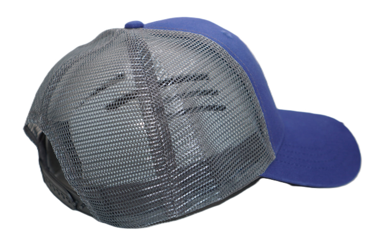 Driver License Division Cap's