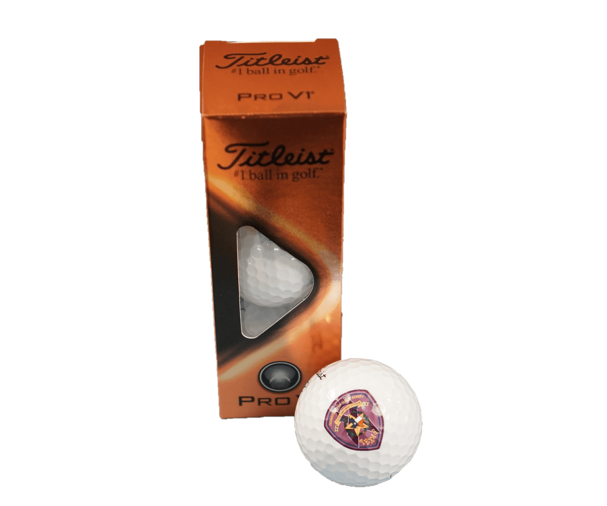 Titleist Epilepsy Golf Balls